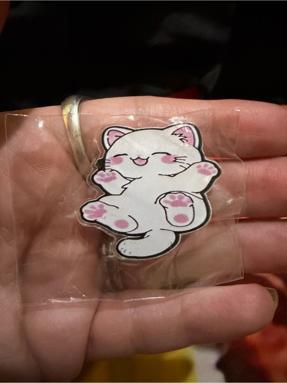 Super cute kitty with pink paws pin/brooch